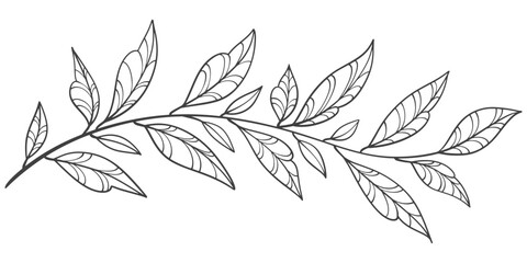 Wall Mural - branch with leaves line art vector illustration	