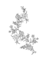 Wall Mural - Abstract line art botanical drawing with wild flowers, leaves. Trendy greenery black ink sketch vector illustration on transparent background, ornament, frame, border for invitation, greeting card.