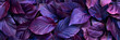photographic background of lush purple iredescend leaves
