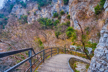 Wall Mural - The steep descent on the Olive Tree Trail, Lugano, Switzerland