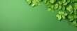 moringa leaves on green background