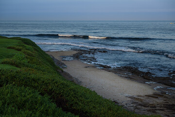 Wall Mural - 2023-12-31 A SHADY PORTION OF THE LA JOLLA SHORELINE WITH LIGHT WAVES AND GREEN FOLIAGE NEAR SAN DIEGO CALIFORNIA