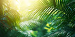 Green tropical vegetation jungle with palm leaves