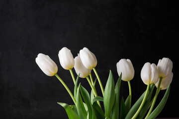 Wall Mural - A bouquet of white tulips on a black background