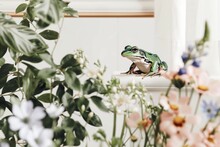 A Green Frog Perched On A Window Sill, Looking Around Its Surroundings