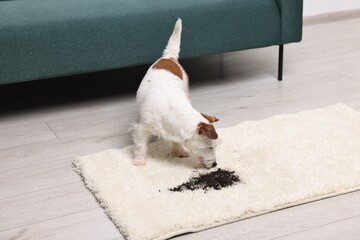 Sticker - Cute dog near mud stain on rug indoors. Space for text