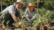© forma82 - couple of elderly smiling people engaged in planting in the garden