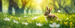 Spring's awakening with a hare amidst blossoming flora. The lush greenery bathed in sunlight provides a peaceful habitat for the woodland creature.