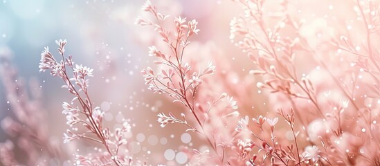 Poster - A detailed view of a plant covered in snow, with every delicate snowflake visible against the plants texture. The blurred background shows a field of shrub grass covered in a blanket of snow.