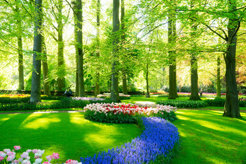 Poster - bright spring lawn with blooming blue flowers and green grass in formal garden