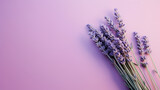 Fototapeta Lawenda - A field of lavender flowers with a blurry sky in the background