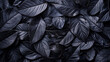Closeup black leaves texture background