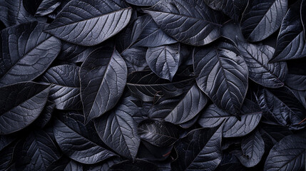 Wall Mural - Closeup black leaves texture background