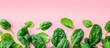 A bunch of fresh green spinach leaves arranged neatly on a soft pink background, creating a visually appealing contrast. The spinach leaves are vibrant and healthy-looking.