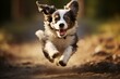 Playful Running funny fluffy dog in summertime. Pet doggy playing and sprinting outside. Generate ai