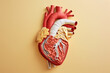 Paper Cut Craft Depicting Internal Anatomy of the Human Heart on a Beige Background