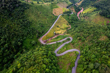 Aerial view of road in beautiful green forest at sunset in spring. Colorful landscape