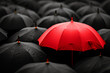 © Emanuel - Red umbrella stand out from the crowd of many black and white umbrellas. Business, leader concept, being different concepts