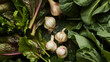 Petite bulbs of garlic and shallots peek out from beneath a tangle of leafy greens their papery skins providing a subtle contrast to the vibrant produce.