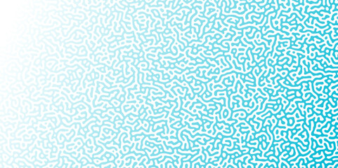 Poster - Turing Abstract Pattern, suitable for any business. White and blue color diffusion reaction seamless pattern.An abstract Reaction-diffusion or Turing pattern formation, coral reef, natural ..