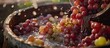Red and white grapes are being washed in a bucket filled with water. This process is a part of the grape harvest for wine making and viticulture. The grapes are being prepared for further processing