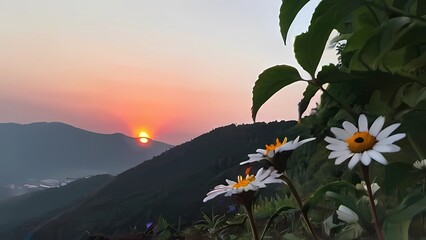 landscape with flowers