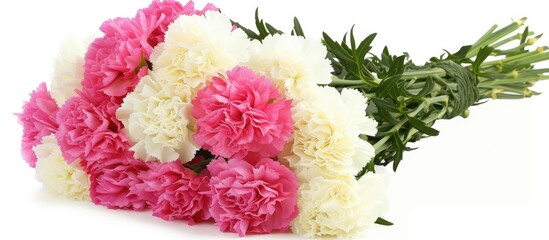 Canvas Print - A vibrant bunch of pink and white carnations artfully arranged, showcasing the delicate beauty of these classic flowers.