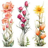 Fototapeta Sypialnia - watercolor floral arrangement  elegant 
featuring types of flowers and leaves for card, invitation decoration,wedding