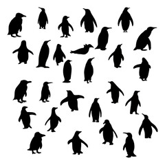 Wall Mural - black penguin silhouette walking and skating