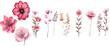 Various lively flower frame decorative elements of spring flowers
