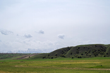 Wall Mural - green meadow in spring against the background of mountains with a cloudy sky