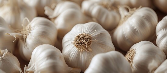 Sticker - Fresh organic garlic bulbs in a messy heap, farm produce for sale at local market