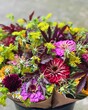 Mixed bouquets of farm grown flowers from Illinois