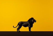 The Black Lioness Made Of Tar, A Lion Standing In Front Of A Yellow Wall.