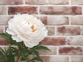 Beautiful Peony Flower With White Brick Texture Backgr Ai generate