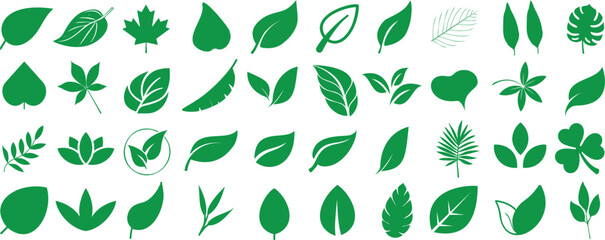 Wall Mural - Leaf silhouettes, vector collection, diverse leaves shapes, nature elements. Ideal for eco friendly brand aesthetics, botanical illustrations, educational materials, artistic designs, decorations.