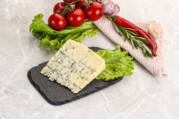 Wall Mural - Gourmet blue cheese with mold