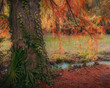 small river in the forest in autumn with a tree