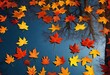 © Jaweria - autumn leaves background