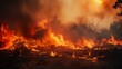 Massive wildfire ravages the forest, causing devastating disaster and destruction
