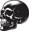 Skull Head Silhouette Vector, Human Skulls Silhouette Illustration On A White Background