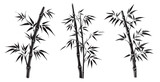 Fototapeta Sypialnia - Bamboo hand drawn style, illustrations