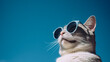 Gray Cat with Sunglasses on Clear Blue Sky: Funny and Cool Cat Portrait - Humorous and Creative Eyewear Concept