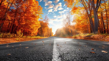 Wall Mural - Autumn Fall Road landscape - Real trees tunnel, beautiful autumnal colors, sunny day