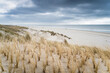 Dunes view with dark stormy clouds and  Helmgrass at coast near Petten Aan Zee North Holland