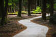 Winding hiking trail path in old forest