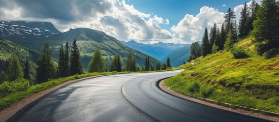 Canvas Print - A meandering asphalt road surrounded by trees, grass, and mountains on both sides, creating a picturesque natural landscape under a cloudy sky.