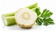 fresh celery root slice isolated on white background