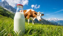 bottle of milk standing on an alpine meadow with green grass on a sunny summer day blue sky mountains cow in the background dairy production healthy diet concept