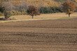 plowed field ready for planting